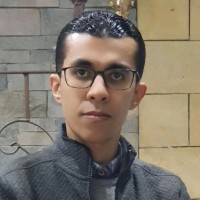 Mohammed Abd El-Wahab ( MBA )