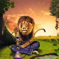 Wasim R