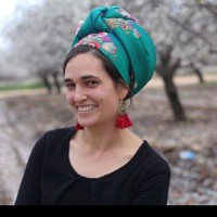 shira fried