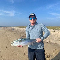 David Driscoll