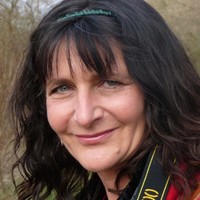seiwert melody