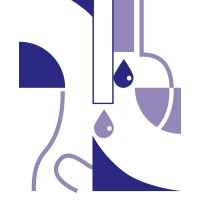 Sinpe Società