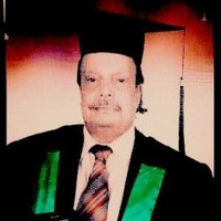Mahmoud S. Aboul-Fetouh