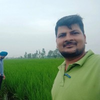 Prasad Dhali