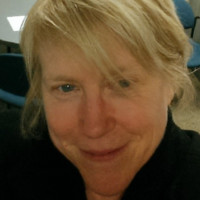 Teresa Civic