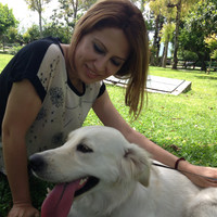 Derya Çolak