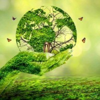 P Narendran