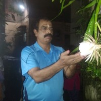 jayant shetty