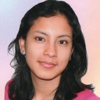 South Express Cargo Perú SAC