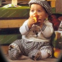 Mac-Queen Fruit gelade