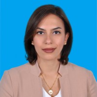 REHAM AFIFI