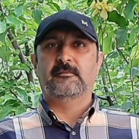 Mojtaba Ghasemnezhad Moghaddam Ilkhchi