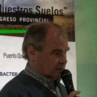 mario cattaneo