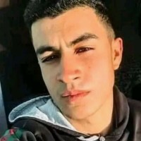 Hamza Dhibi