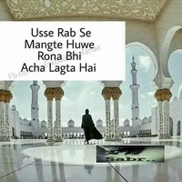 Mohammed Junaid
