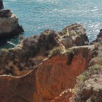 Daniele Torelli