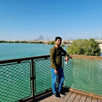 Muhammad Amir