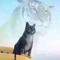 李国刚