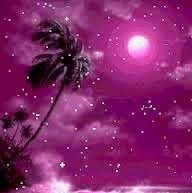 Noha Emad