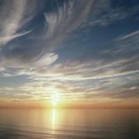 Editor.SAP Scientific Academic Publishing