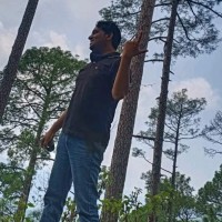 Rajesh Kumar