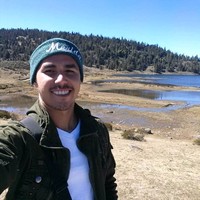 Victor M Ballestero