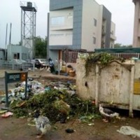 Greenwaves Environmental Consult