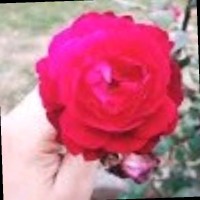 In My Gallery