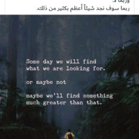 Mohamed Korany
