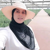 Meriem Khattab
