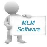 mlm Services