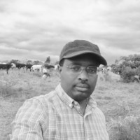 Moses Kiiza