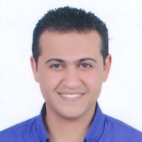 Abdelfattah Mansour