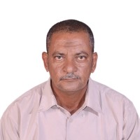 Basher Saeed
