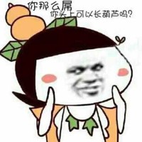 施金宏