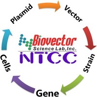 BioVector NTCC Inc.