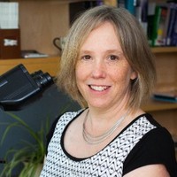 Yvonne Van Gessel