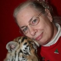 Kay Purcell