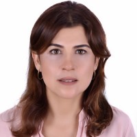 afef bouguerra