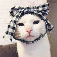 杨望润
