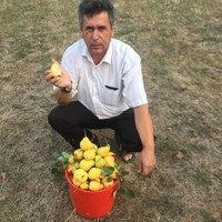 Safet Mazreku