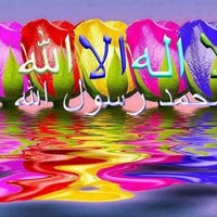 ali kaka