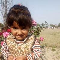 Abeeda Hassan