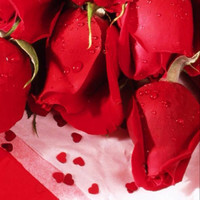 Nour Nour Sms