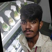 Muthu Kumar
