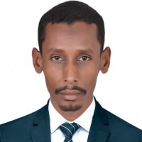 Ahmed Hamed / Mba / Cia