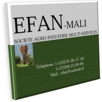 Efan Mali S.A Faster Capital Incubateurs Efan Mali S.A