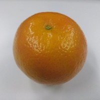 林宇晴