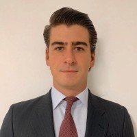 Gerardo del Pino González