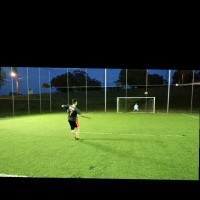 Luiz Fernando Delfini Leão